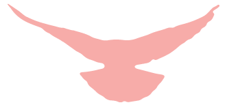 1698227529686347 1698227529686347